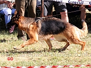 aidin-di-casa-ines-03