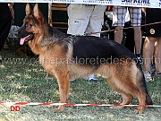 aiko-delle-belle-torri-1mb.giovanissimi-maschi