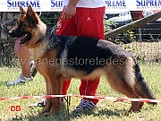 chira-di-casa-max-3mb-cucciolone-femmine