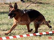 frisbi-di-ca-san-marco-02