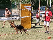 giovani-femmine-finke-di-casa-giovannini