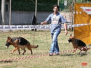 giovani-femmine-gilda-del-re-di-denari-asia-di-vittorio-veneto