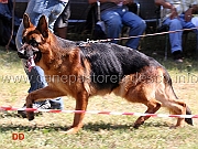 marko-team-torretta