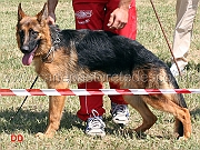 mitzi-di-casa-giovannini-4mp-juniores-femmine