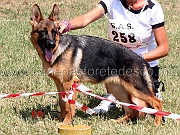 perla-di-valmadrera-2mp-juniores-femmine