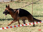 zantak-di-turboland-02