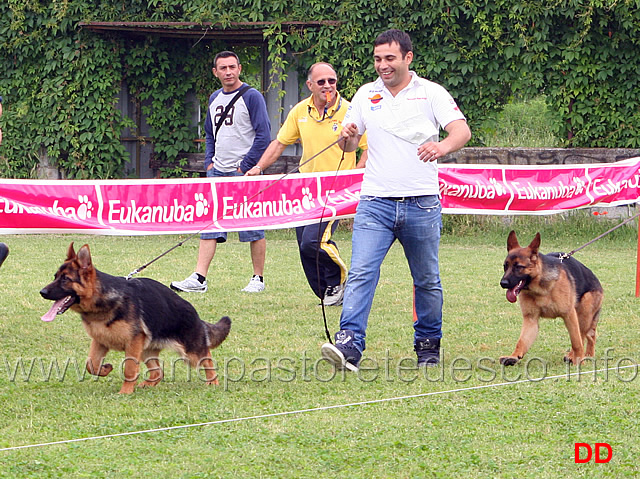 loren-della-valle-dei-rovi-e-sole-il-mercabah.jpg - Loren della Valle dei Rovi e Sole Il Mercabah