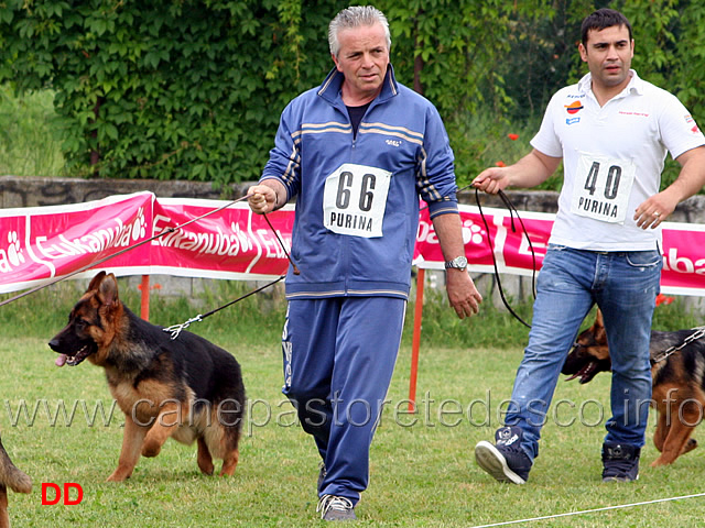 loren-della-valle-dei-rovi.jpg - Loren della Valle dei Rovi.  Classe Juniores femmine