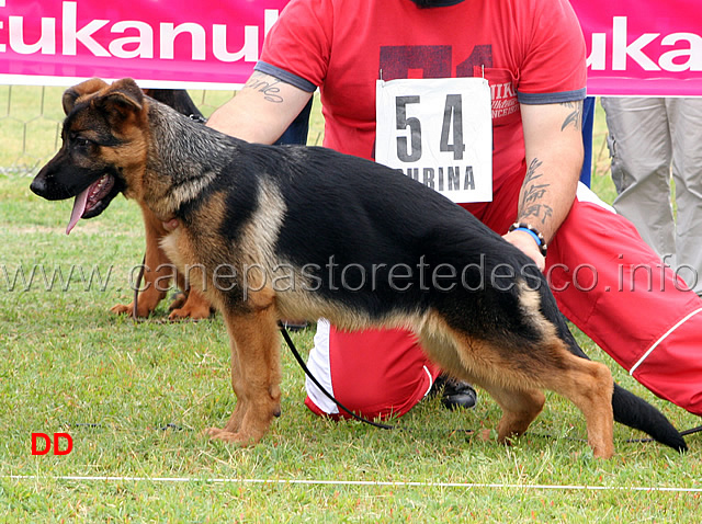 nicla-della-valle-dei-rovi-4-MP.jpg - Nicla della Valle dei Rovi 4 MP Classe baby femmine