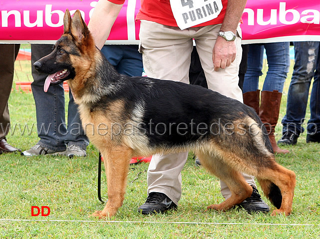 vana-von-fidelia-2-MP.jpg - Vana von Fidelia 2 MP Classe baby femmine