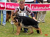 aramis-7-P