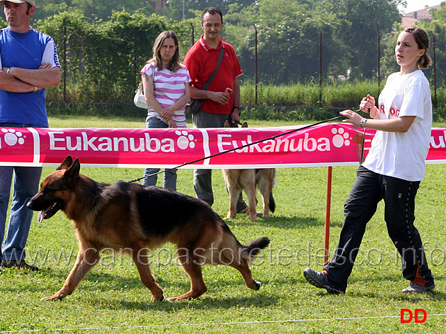 hasko-di-casa-libardi-.jpg