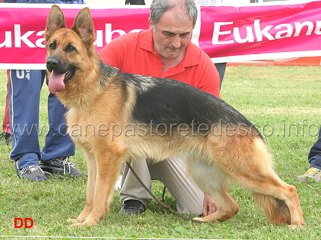 astra-di-val-del-tiglio-1-MB.jpg