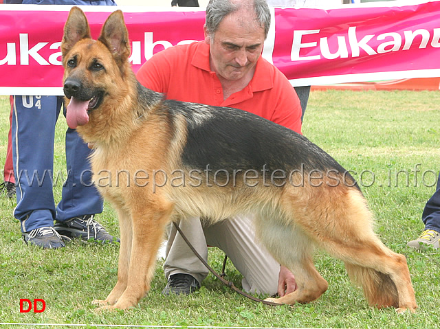 astra-di-val-del-tiglio-1-MB.jpg