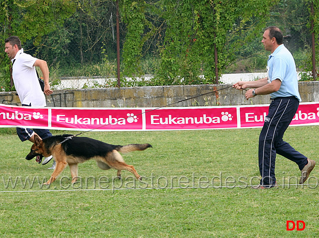 cucciolone-femmine-desy.jpg