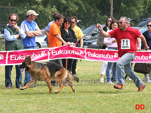 ekron-della-valle-dei-rovi.jpg
