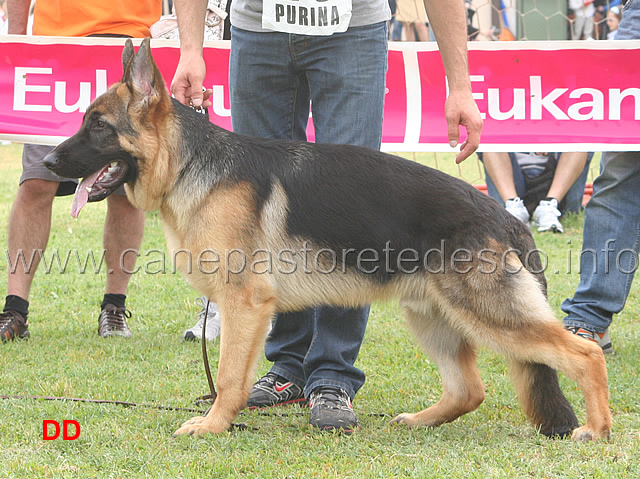 falk-di-valmadrera-4-P.jpg