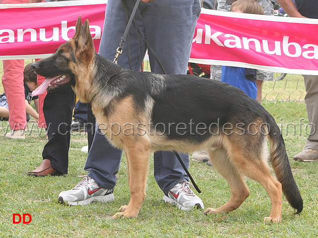 gerry-di-valmadrera-5-P.jpg