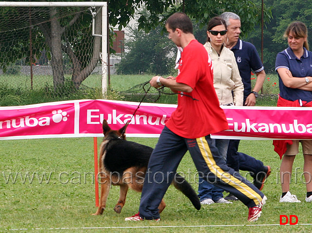 juniores-maschi-akon-di-casa-spataro.jpg