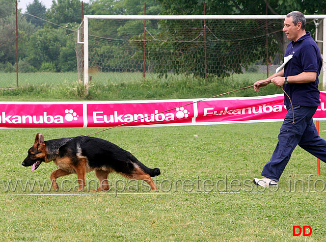 juniores-maschi-phanto-dei-due-fiumi.jpg