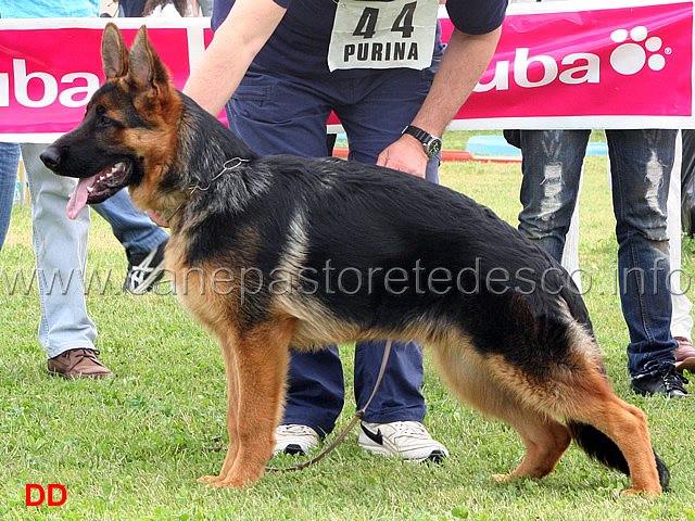 phato-dei-due-fiumi-1-MP.jpg