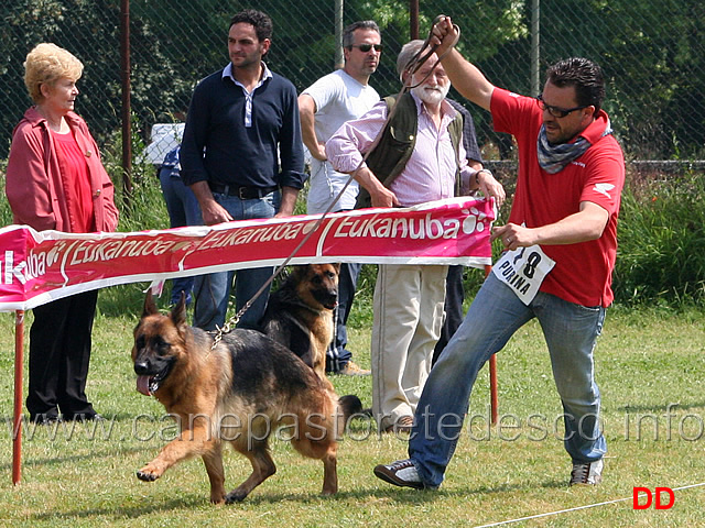 vilma-del-ceresio-al-trotto.jpg