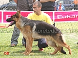 cuccioloni-maschi-2-B-nathan