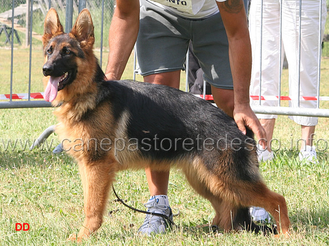 013.jpg - Classe Juniores femmine 2 Loga del Gupo