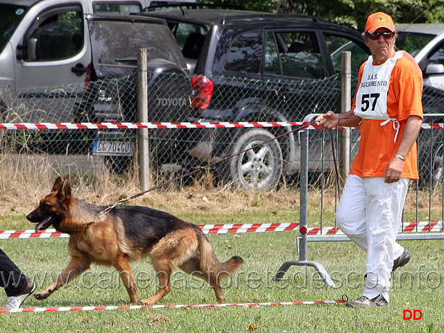 041.jpg - Classe Giovanissime femmine Noemi von Dax all'Alberone