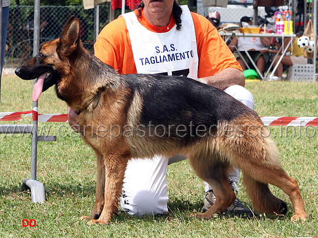045.jpg - Giovanissime femmine 4 Noemi von Dax all'Alberone