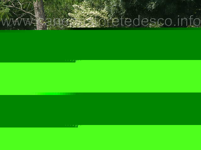 067.jpg - Classe Giovani femmine Quixsy e Q di Casa Nosella