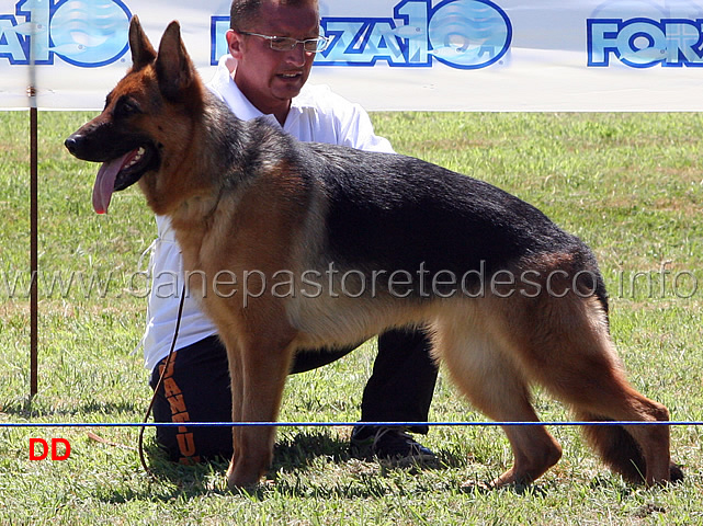 ghera-degli-iapigi.jpg - Ghera degli Iapigi 54 MB Giovanissime femmine (foto Raduno SAS Frosinone, luglio 2010)