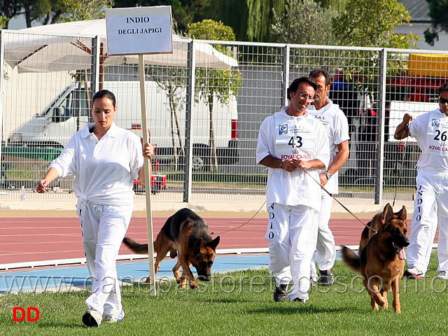 gruppo-di-indio-degli-japigi.jpg - Gruppo di riproduzione di Indio degli Iapigi (Campionato SAS 2009)