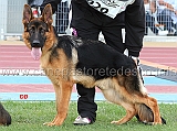 carlos-alto-pino-2Juniores