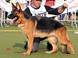 patty-di-casa-falbo-
