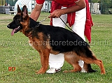 vega-del-rione-antico-11MP-juniores-femmine