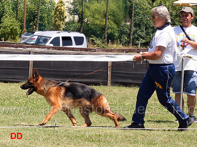 giovanissime-femmine-nera-blackhof.jpg - Giovanissime femmine Nera Blackhof
