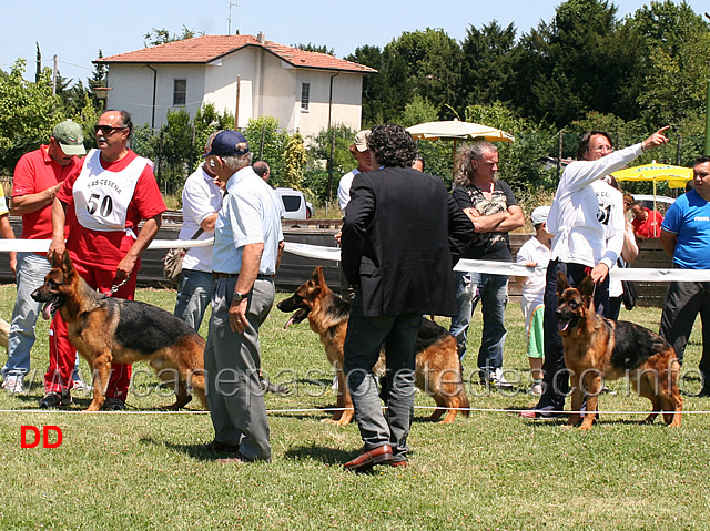giovanissimi-maschi-02.jpg - Giovanissimi maschi