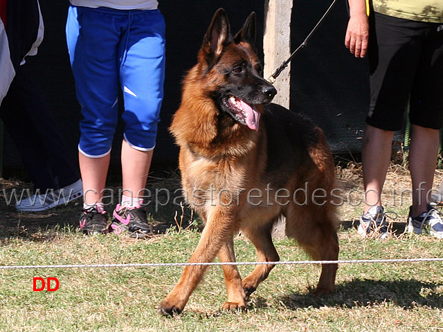 jack-del-samengio-02.jpg - Jack del Samengio