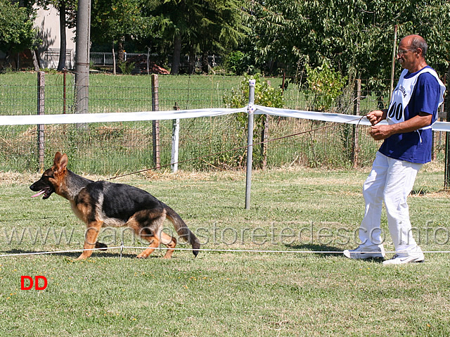 juniores-maschi-dirk-delle-tamerici-salmastre.jpg - Juniores maschi Dirk delle Tamerici Salmastre