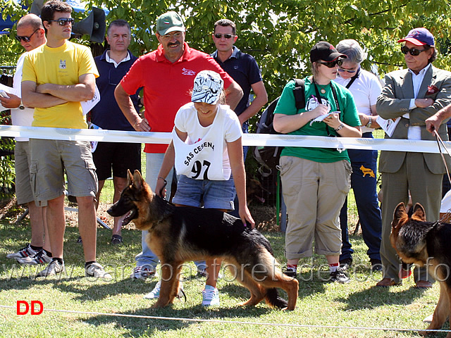 vittoria-beggiato-con-haron-della-val-sangro-02.jpg - Vittoria Beggiato con Haron della Val Sangro