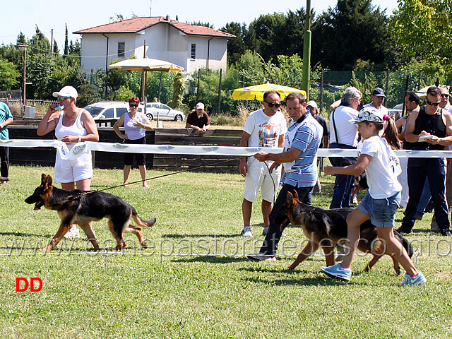 vittoria-beggiato-con-haron-della-val-sangro-recupera-la-seconda-posizione.jpg - Vittoria Beggiato con Haron della Val Sangro recupera la seconda posizione