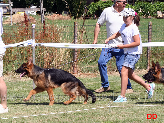 vittoria-beggiato-con-haron-della-val-sangro.jpg - Vittoria Beggiato con Haron della Val Sangro