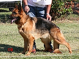elettraperla-03