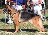 helly-di-castel-cerreto-04