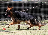 juniores-femmine-dafne-di-casa-beggiato-02