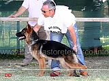 juniores-femmine-dafne-di-casa-beggiato