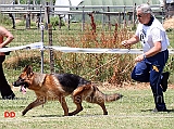 nera-blackhof