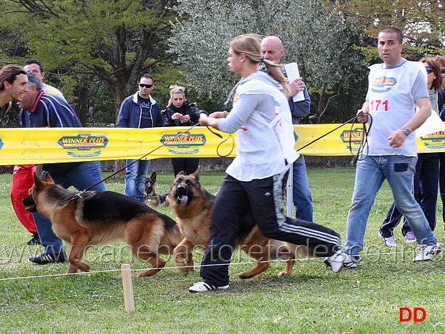 bolla-del-rione-antico-e-xara-dell-altopiano.jpg - Bolla del Rione Antico e Xara dell'Altopiano