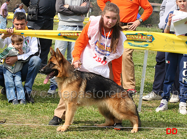 flay-della-valle-dei-rovi-6mb-cucciolone-femmine.jpg -  Flay della Valle dei Rovi 6 MB Cucciolone femmine 